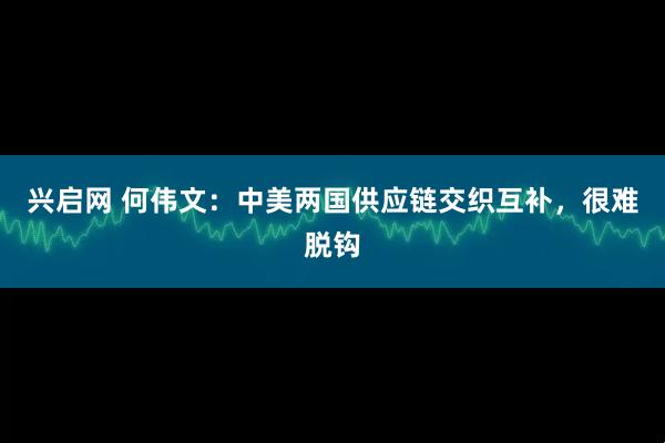 兴启网 何伟文：中美两国供应链交织互补，很难脱钩