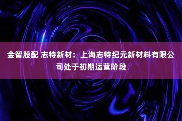 金智股配 志特新材：上海志特纪元新材料有限公司处于初期运营阶段